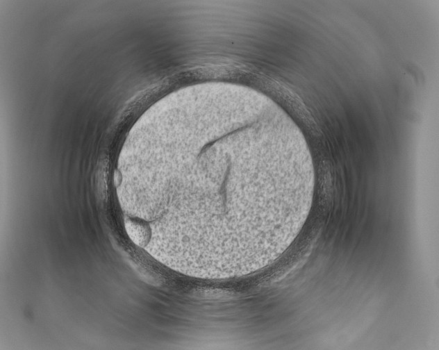 X0000110770590200907271206