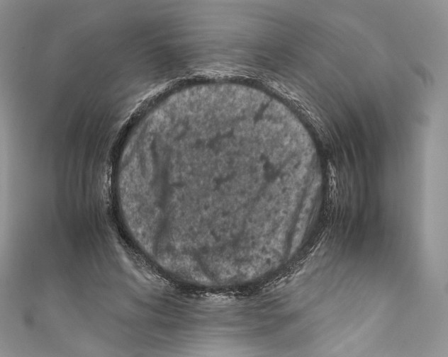 X0000110770592200907271206