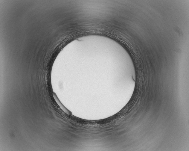 X0000110770595200907271206