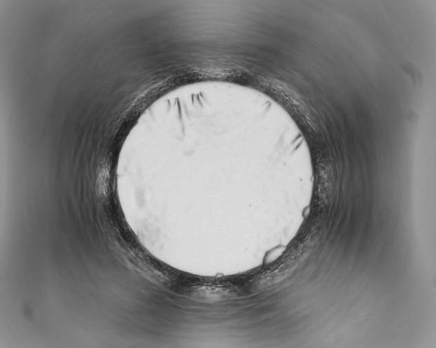 X0000110770596200907271206