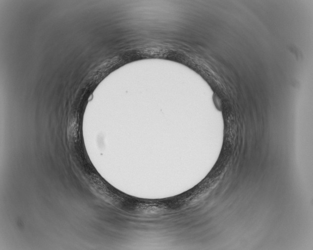 X0000110770597200907271206