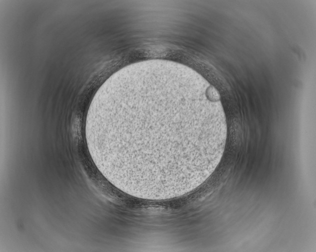 X0000110770598200907271206