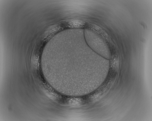 X0000110770599200907271206