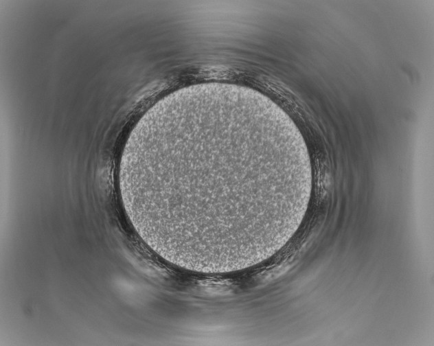 X0000110770603200907271206