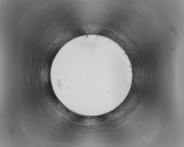 X0000110770604200907271206