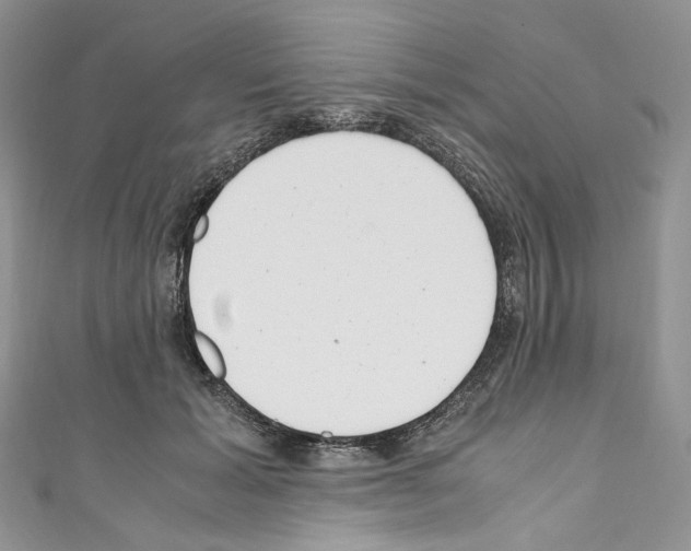 X0000110770605200907271206