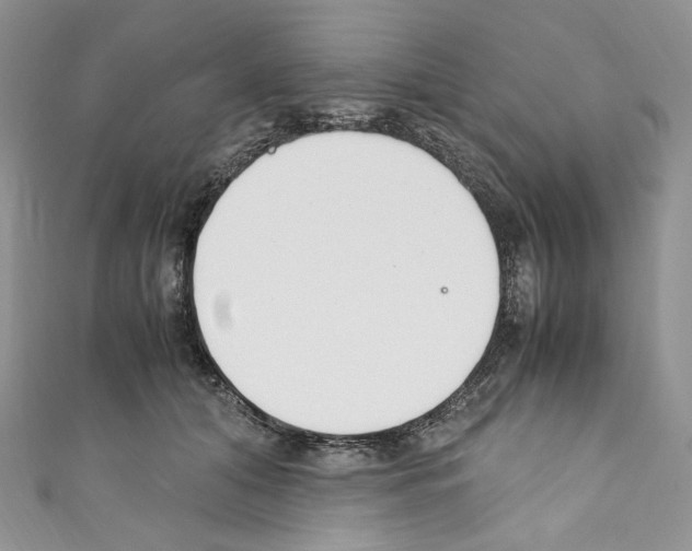 X0000110770608200907271206