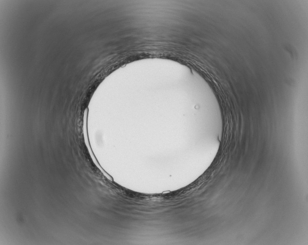 X0000110770609200907271206