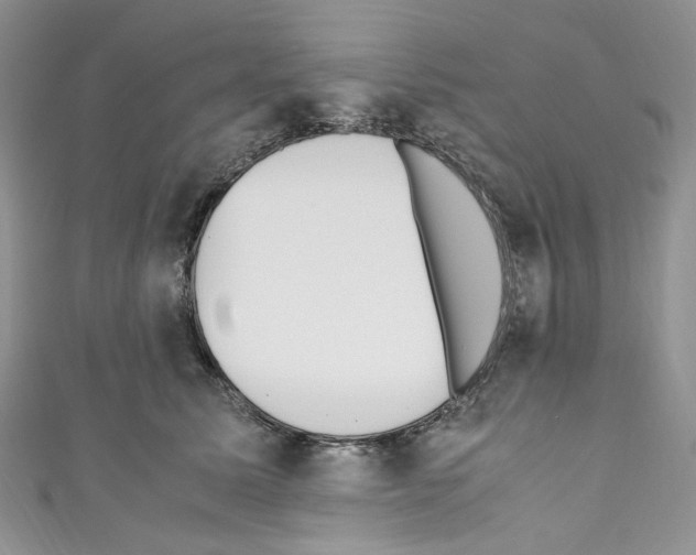 X0000110770611200907271206