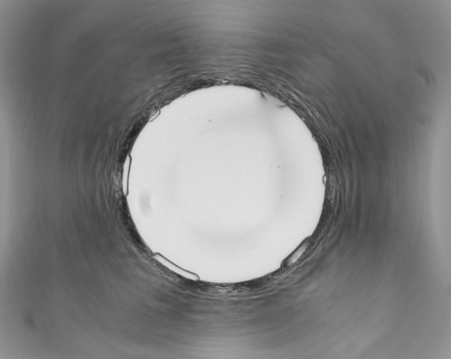 X0000110770613200907271206