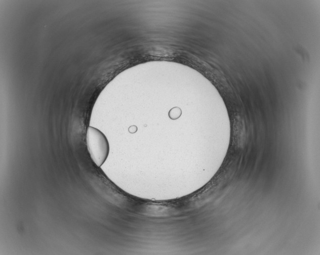 X0000110770614200907271206