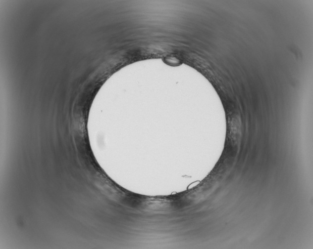 X0000110770617200907271206