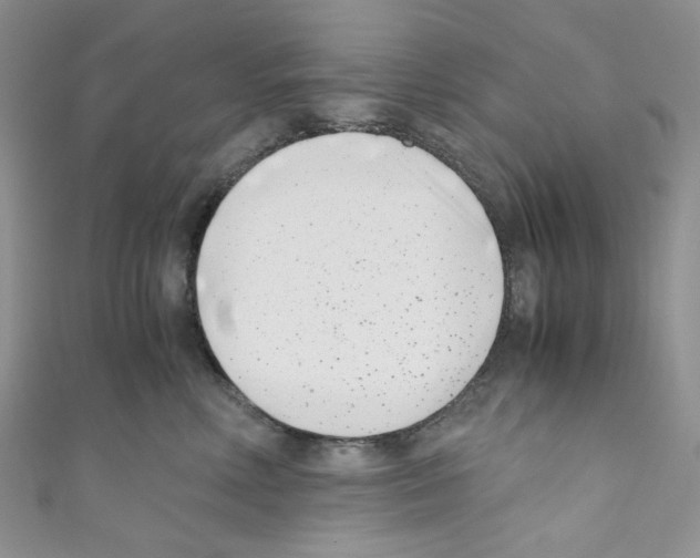 X0000110770618200907271206