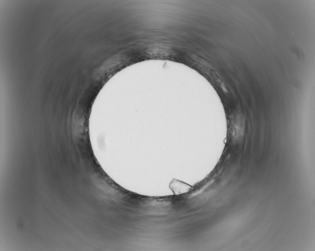 X0000110770619200907271206