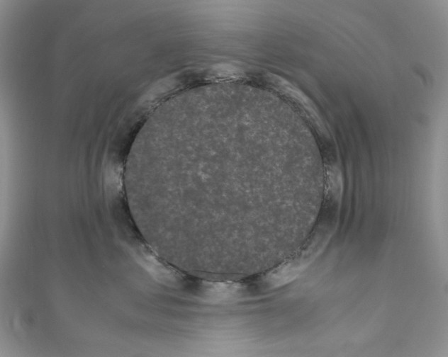 X0000110770621200907271205