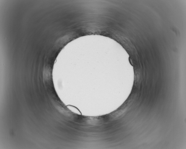 X0000110770623200907271205