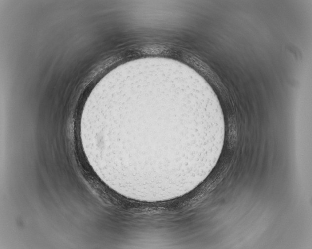 X0000110770626200907271205