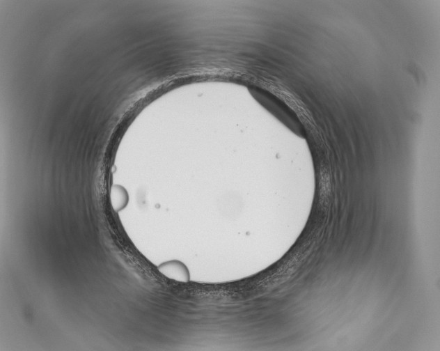 X0000110770628200907271205