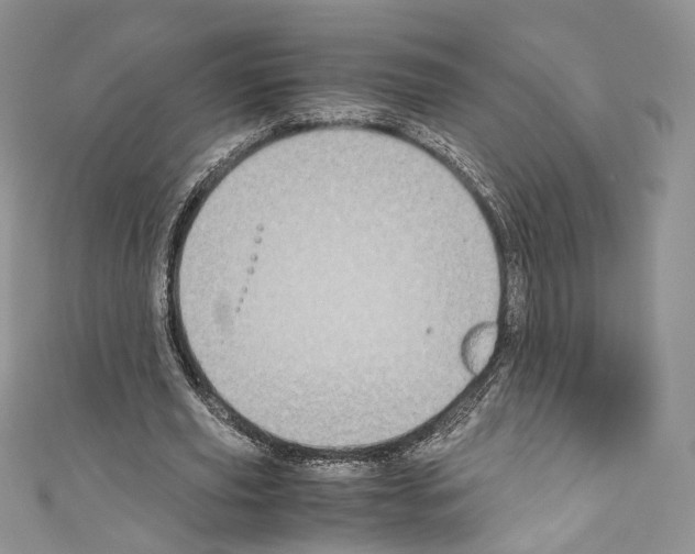 X0000110770629200907271205