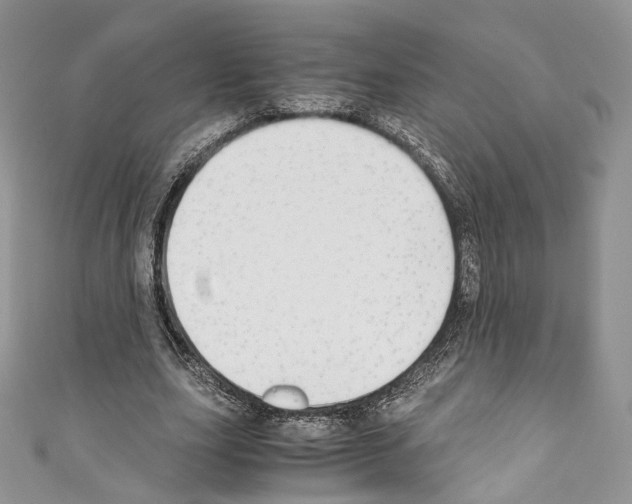 X0000110770631200907271205