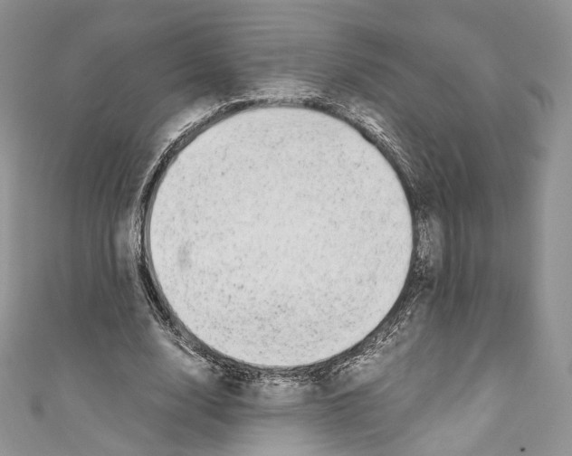 X0000110770632200907271205