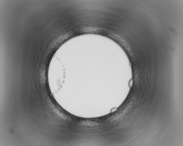 X0000110770633200907271205