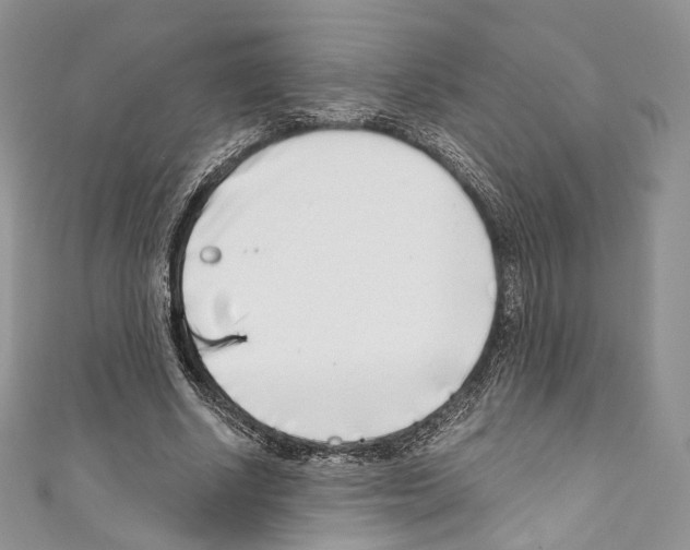 X0000110770634200907271205