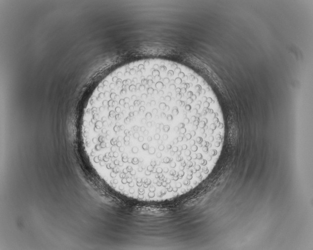 X0000110770635200907271205