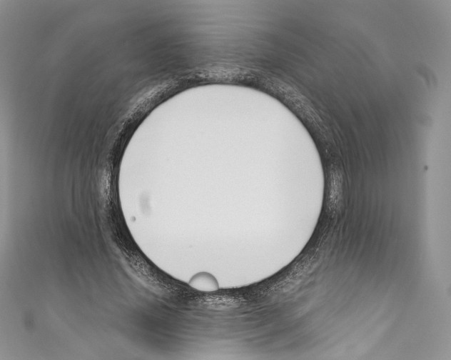 X0000110770636200907271205