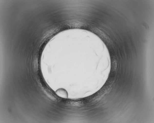 X0000110770638200907271205