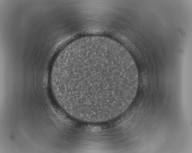 X0000110770640200907271205