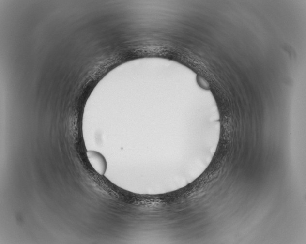 X0000110770642200907271205