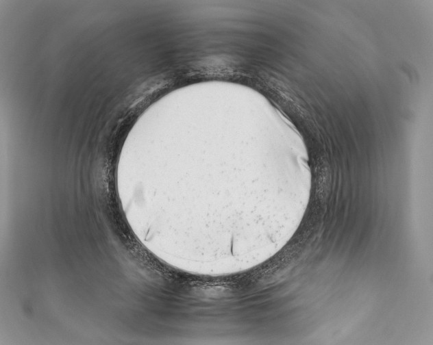 X0000110770643200907271205