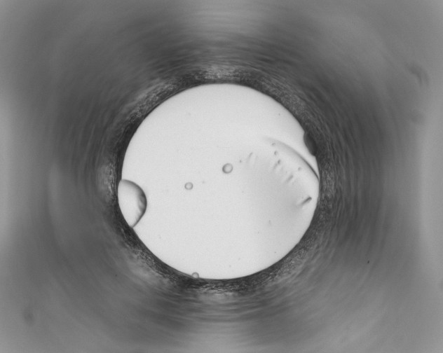 X0000110770648200907271205