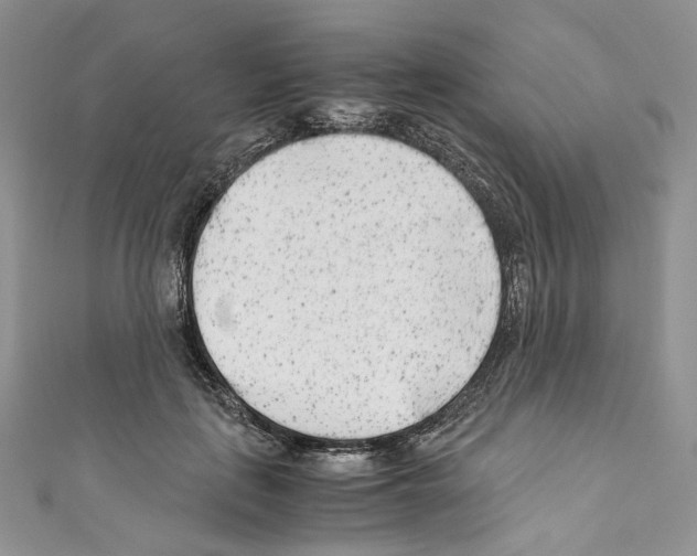 X0000110770651200907271205