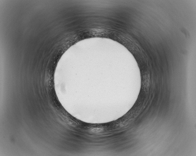 X0000110770653200907271205