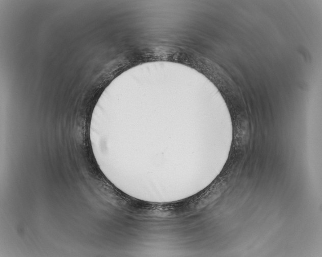 X0000110770656200907271205