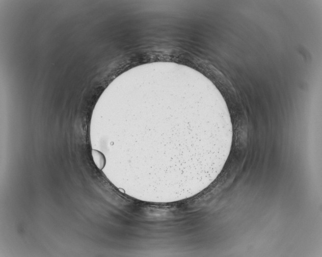 X0000110770661200907271205