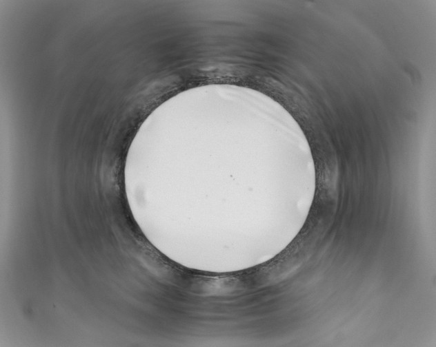 X0000110770663200907271205