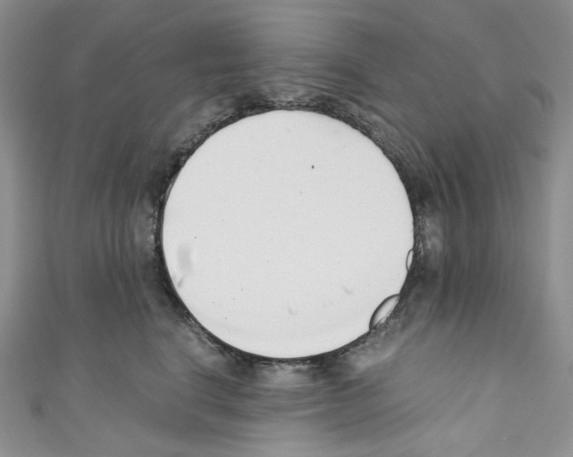 X0000110770664200907271205