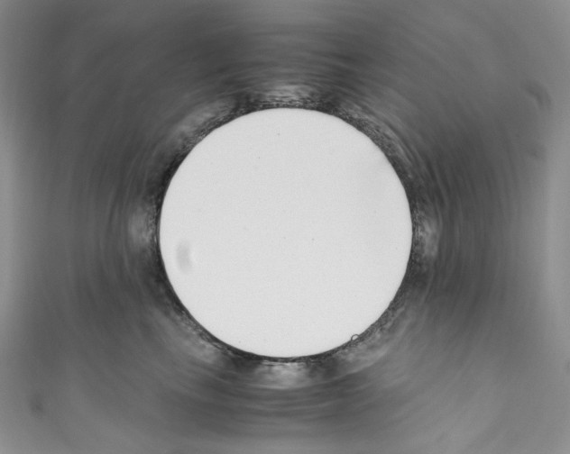 X0000110770665200907271205