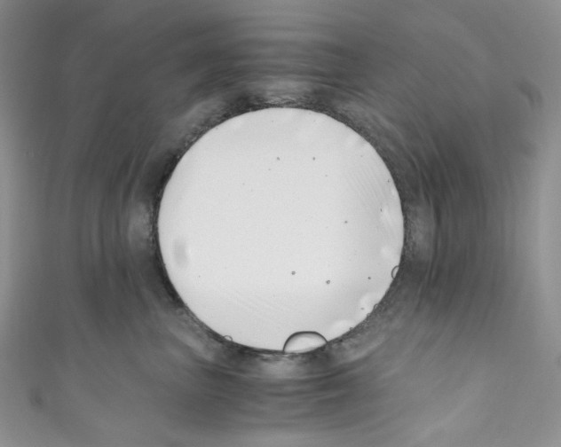 X0000110770667200907271205