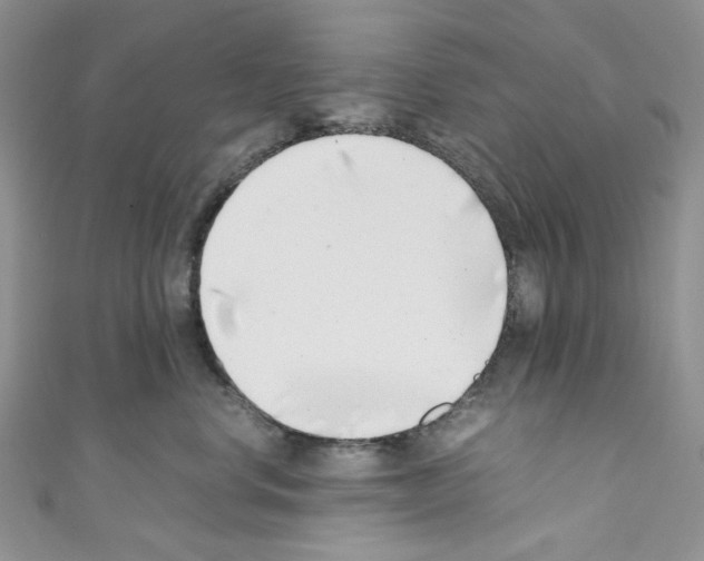 X0000110770668200907271205