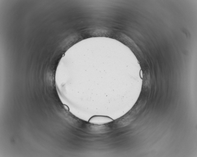 X0000110770669200907271205