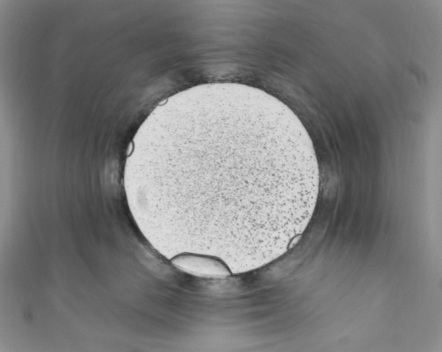 X0000110770670200907271205