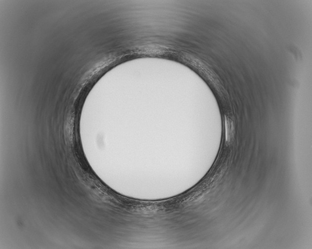 X0000110770675200907271205