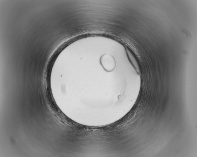 X0000110770676200907271205