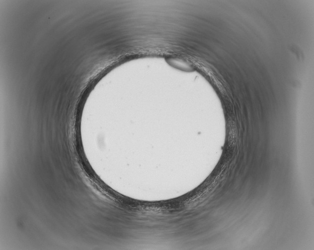 X0000110770677200907271205