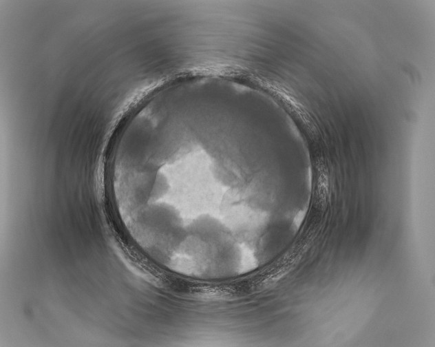 X0000110770678200907271205