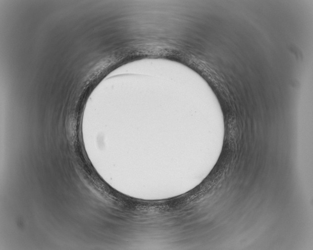 X0000110770679200907271205